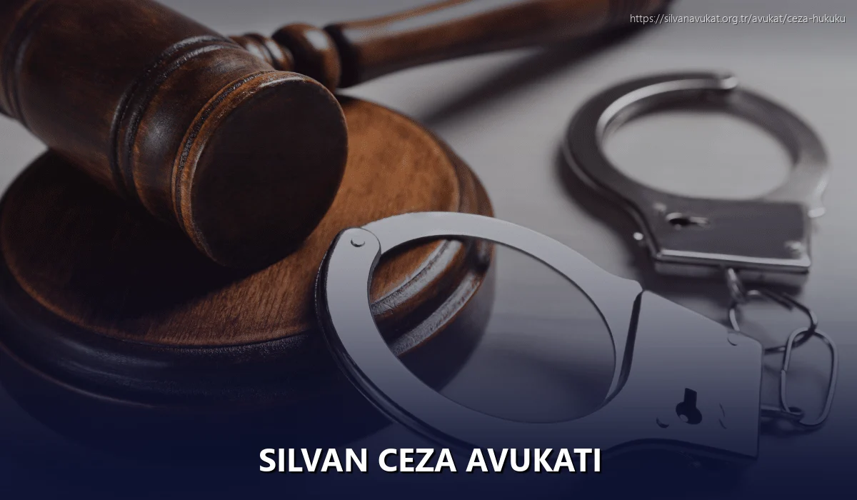 Silvan Ceza Avukatı