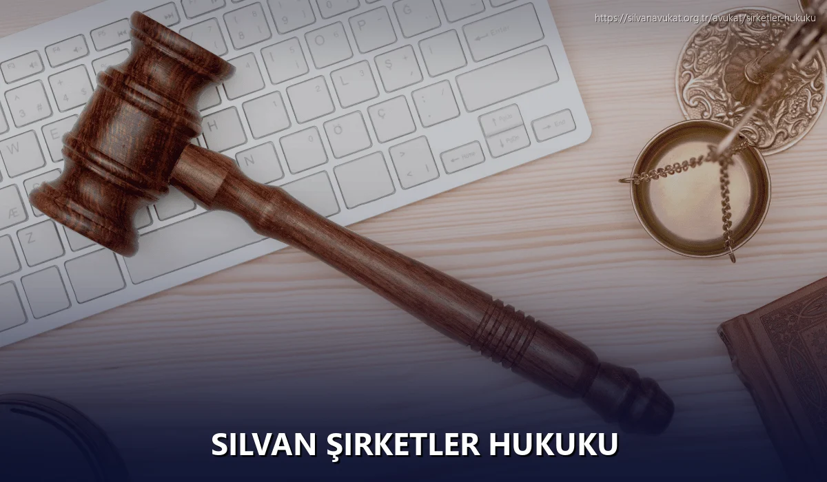 Silvan Şirketler Hukuku